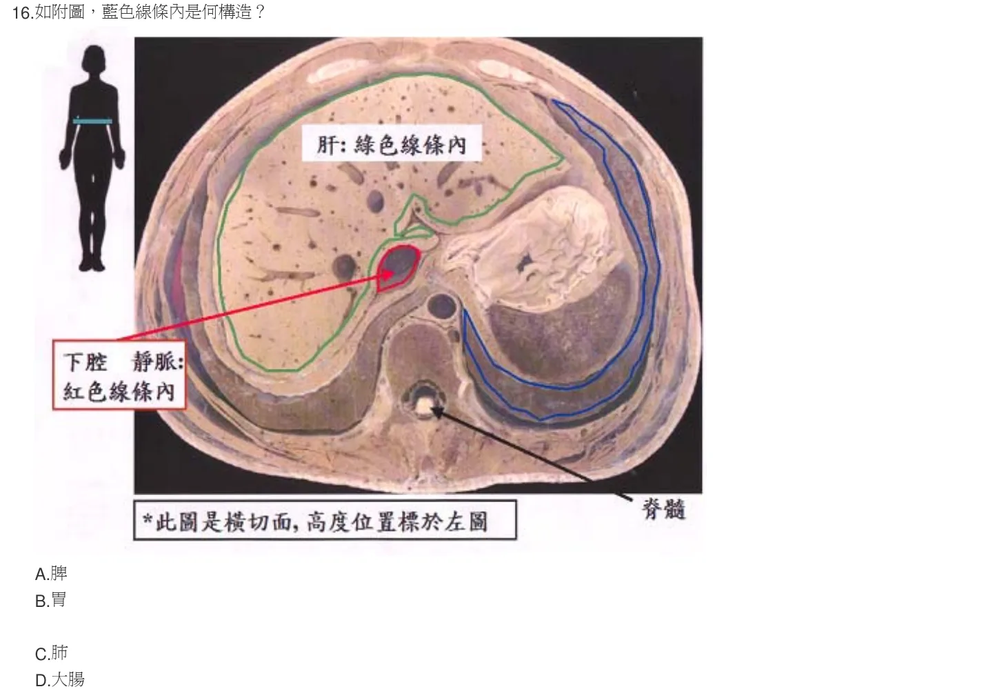 102 年第一次 解剖學與生理學 第 16 題附圖