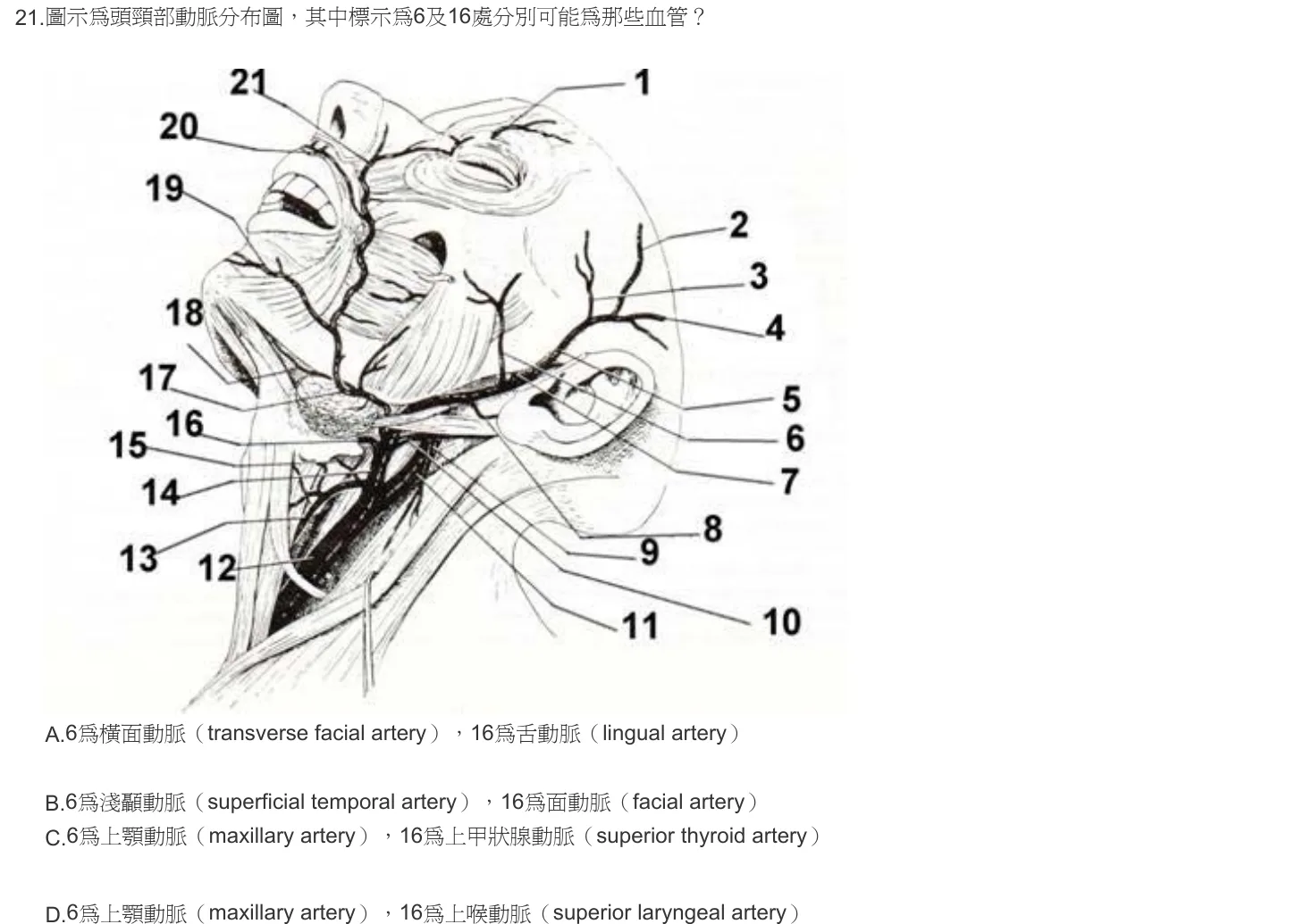 102 年第二次 牙醫學（一） 第 21 題附圖