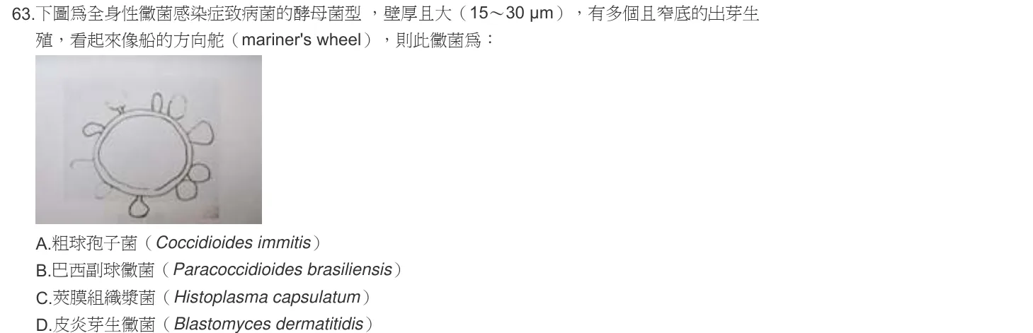 103 年第一次 微生物學與臨床微生物學 第 63 題附圖