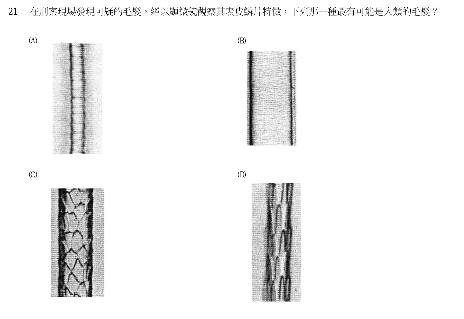 103 年 三等考試 刑案現場處理與刑事鑑識 第 21 題附圖