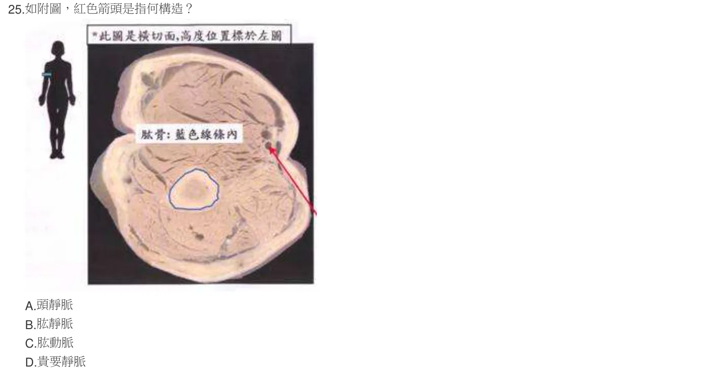 103 年第二次 解剖學與生理學 第 25 題附圖