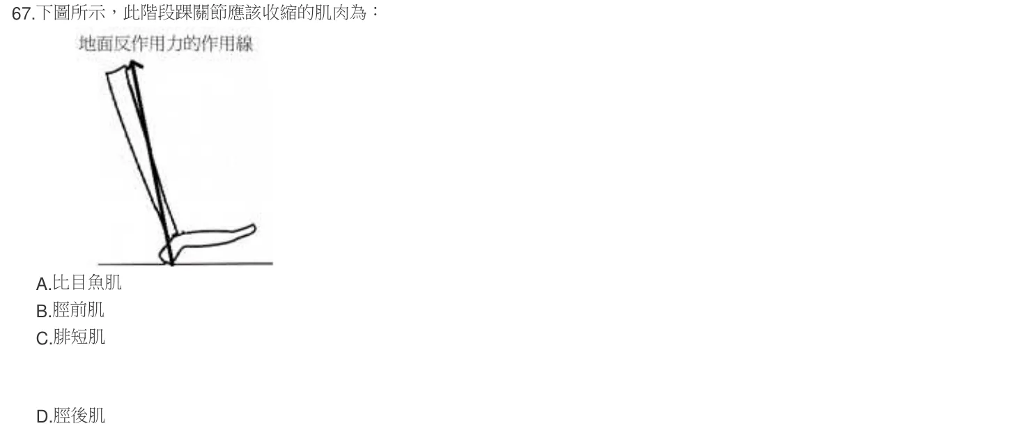 103 年第二次 物理治療基礎學 第 67 題附圖