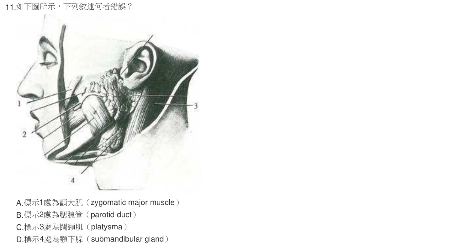104 年第一次 牙醫學（一） 第 11 題附圖
