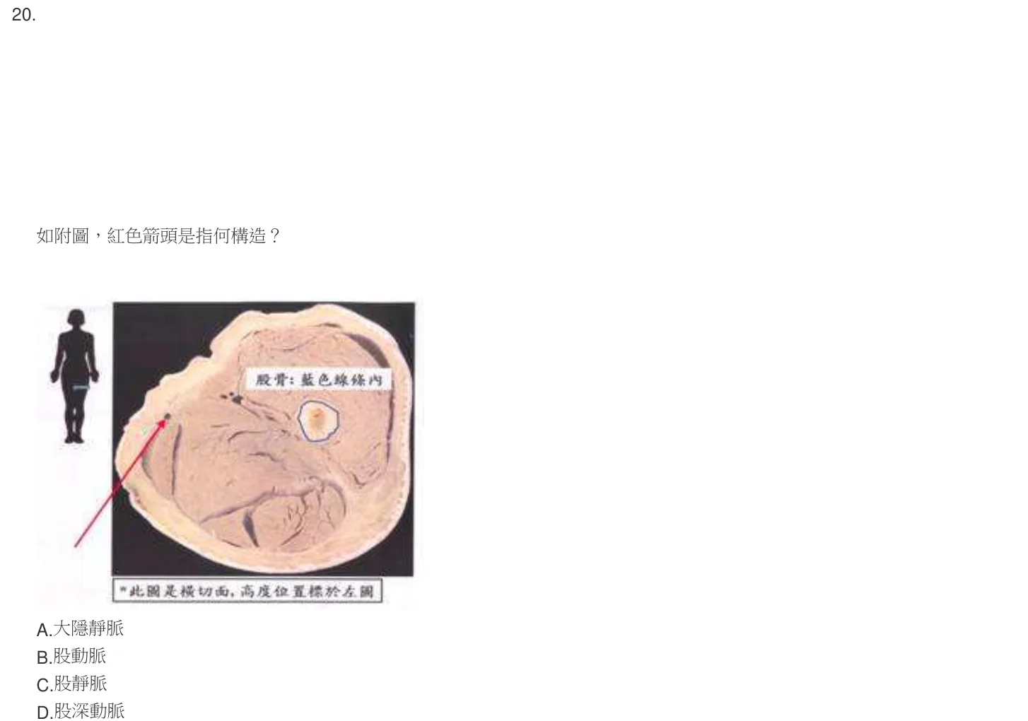 104 年第一次 解剖學與生理學 第 20 題附圖