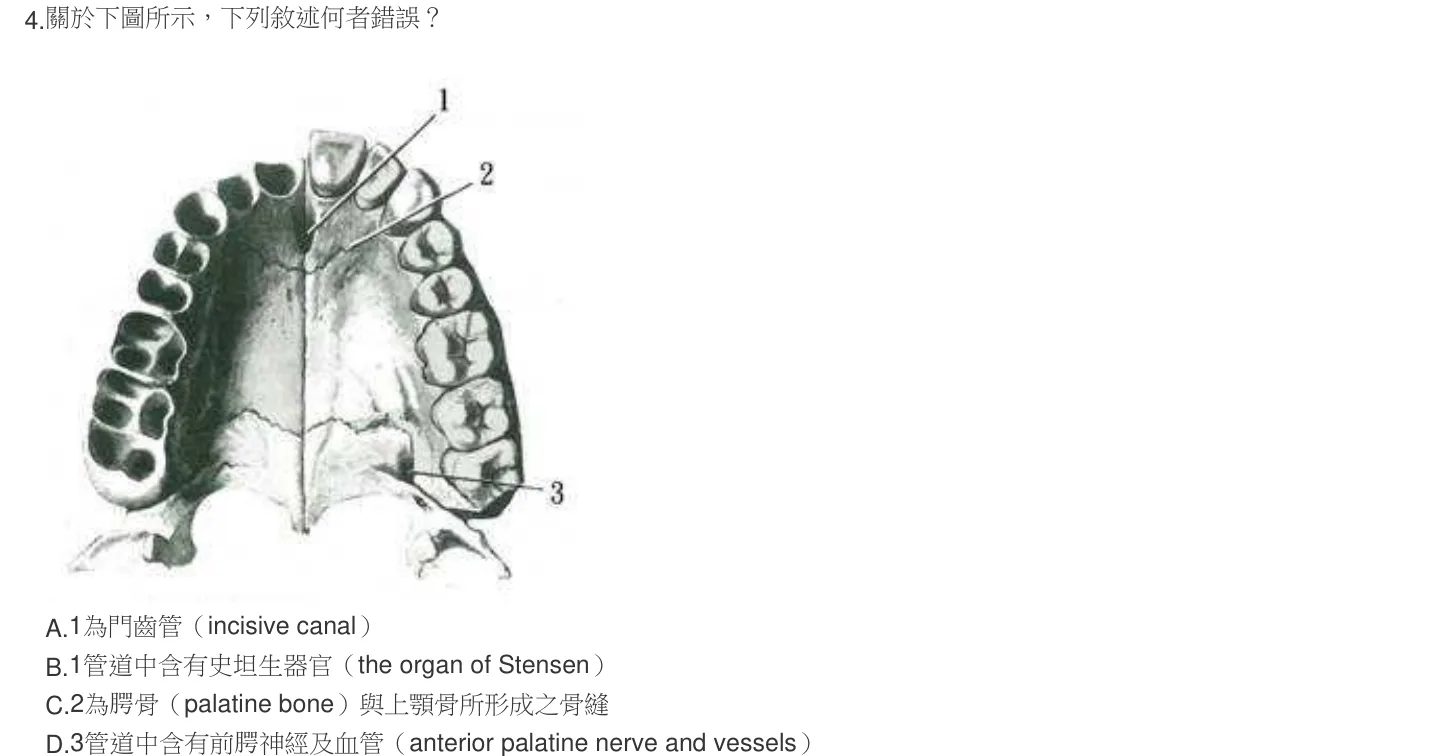 104 年第二次 牙醫學（一） 第 4 題附圖