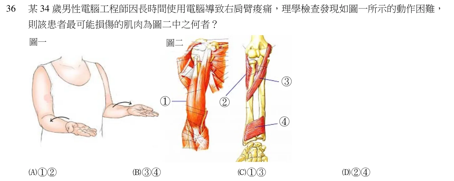 104 年第二次 中醫臨床醫學（三） 第 36 題附圖