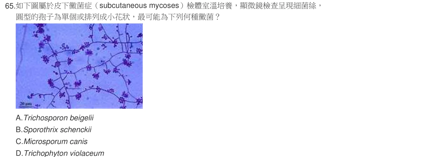 105 年第一次 微生物學與臨床微生物學 第 65 題附圖