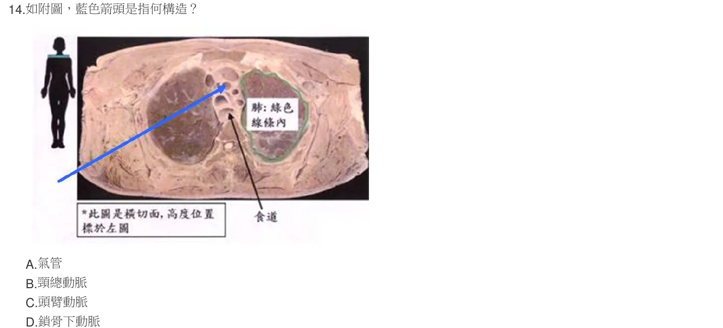 105 年第一次 解剖學與生理學 第 14 題附圖