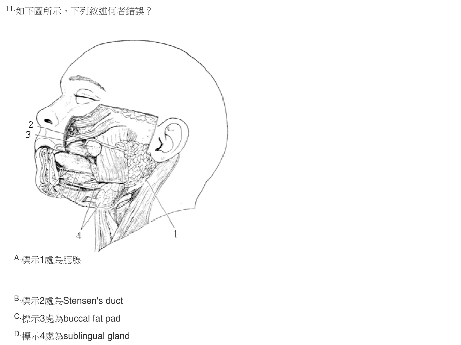 106 年第二次 牙醫學(一) 第 11 題附圖