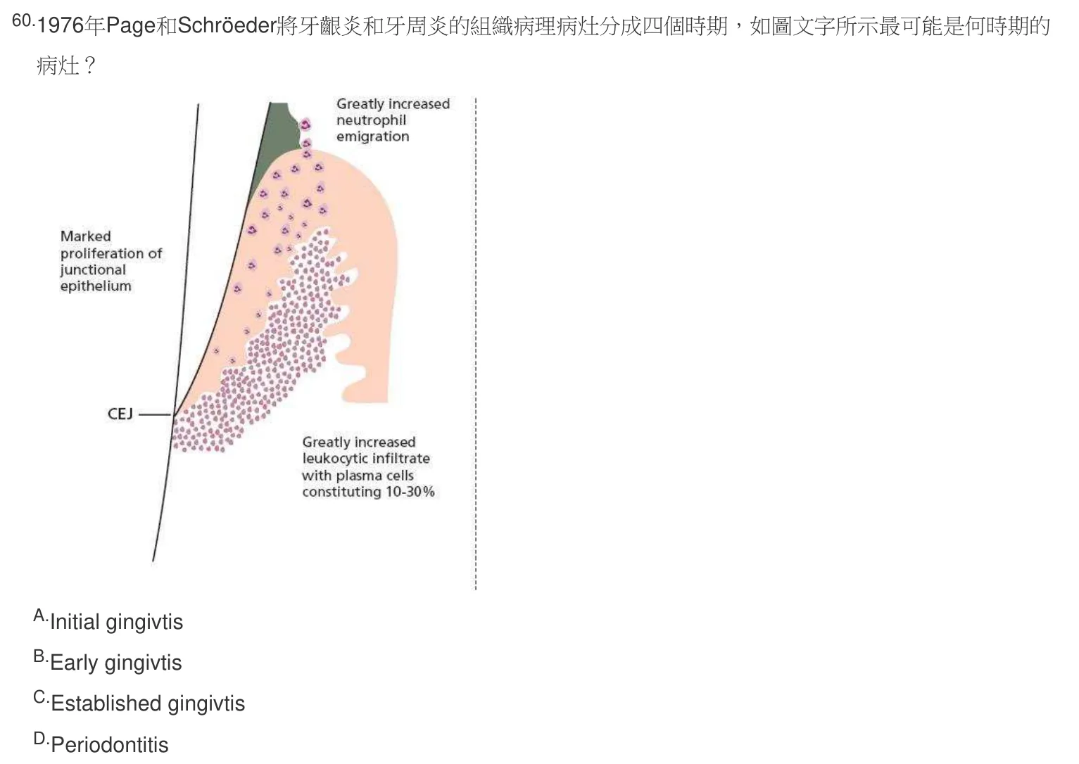106 年第二次 牙醫學(三) 第 60 題附圖