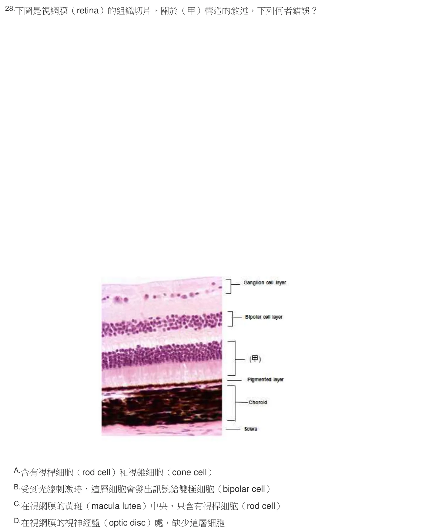 106 年第二次 解剖學與生理學 第 28 題附圖