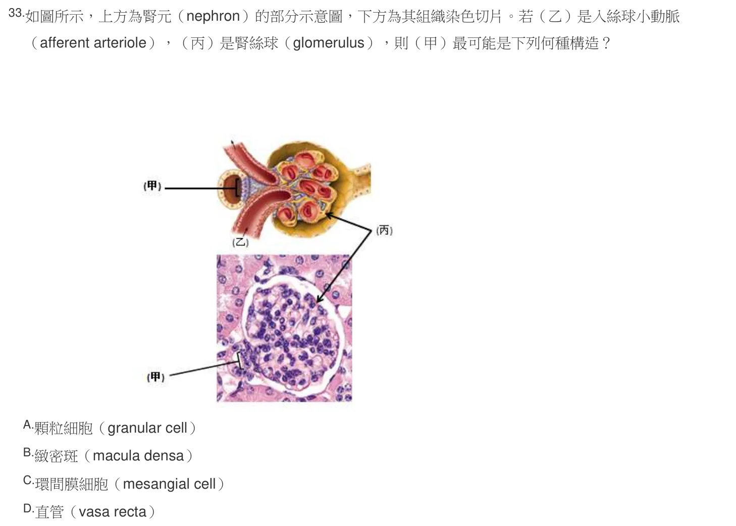 106 年第二次 解剖學與生理學 第 33 題附圖