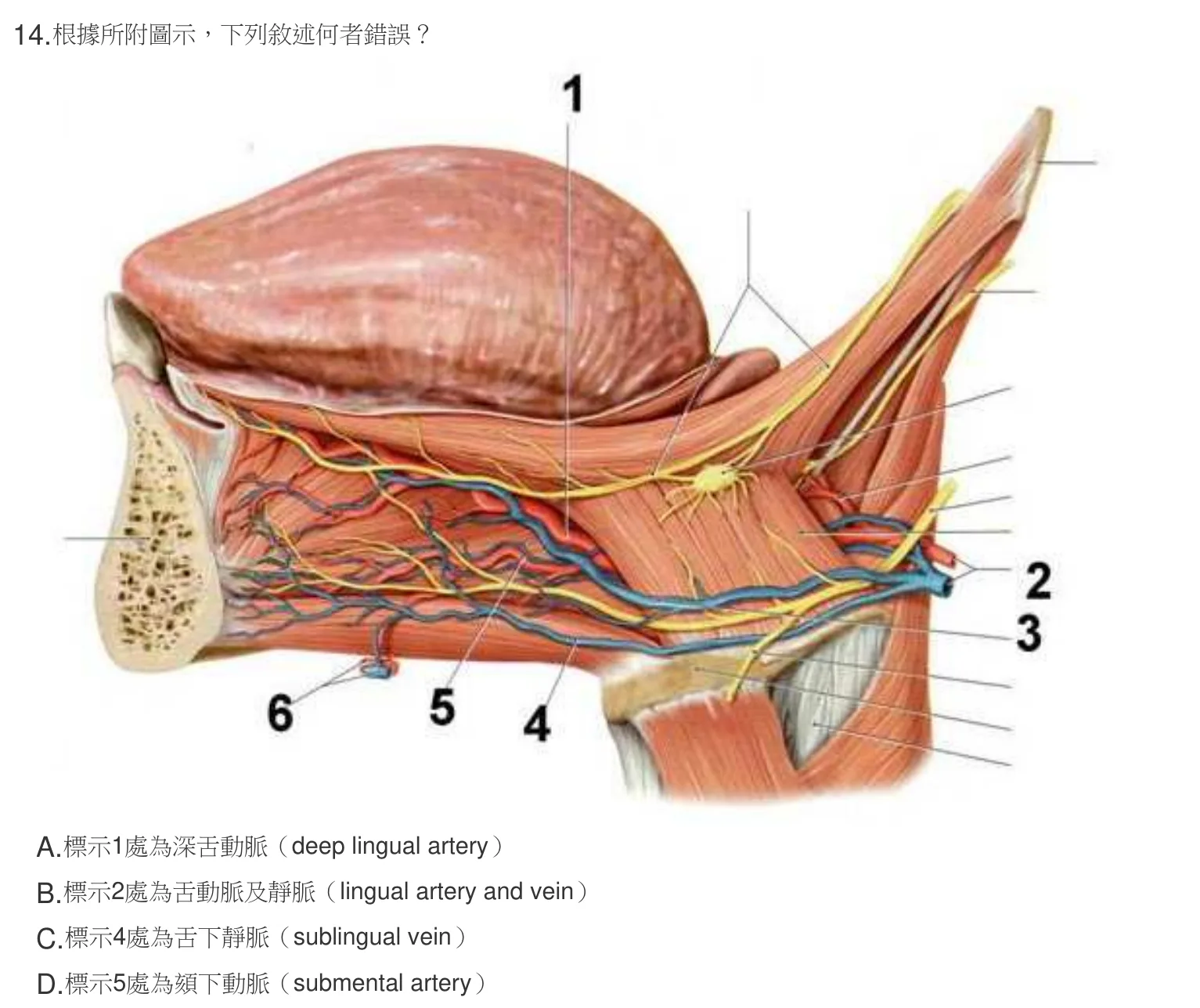 107 年第一次 牙醫學（一） 第 14 題附圖