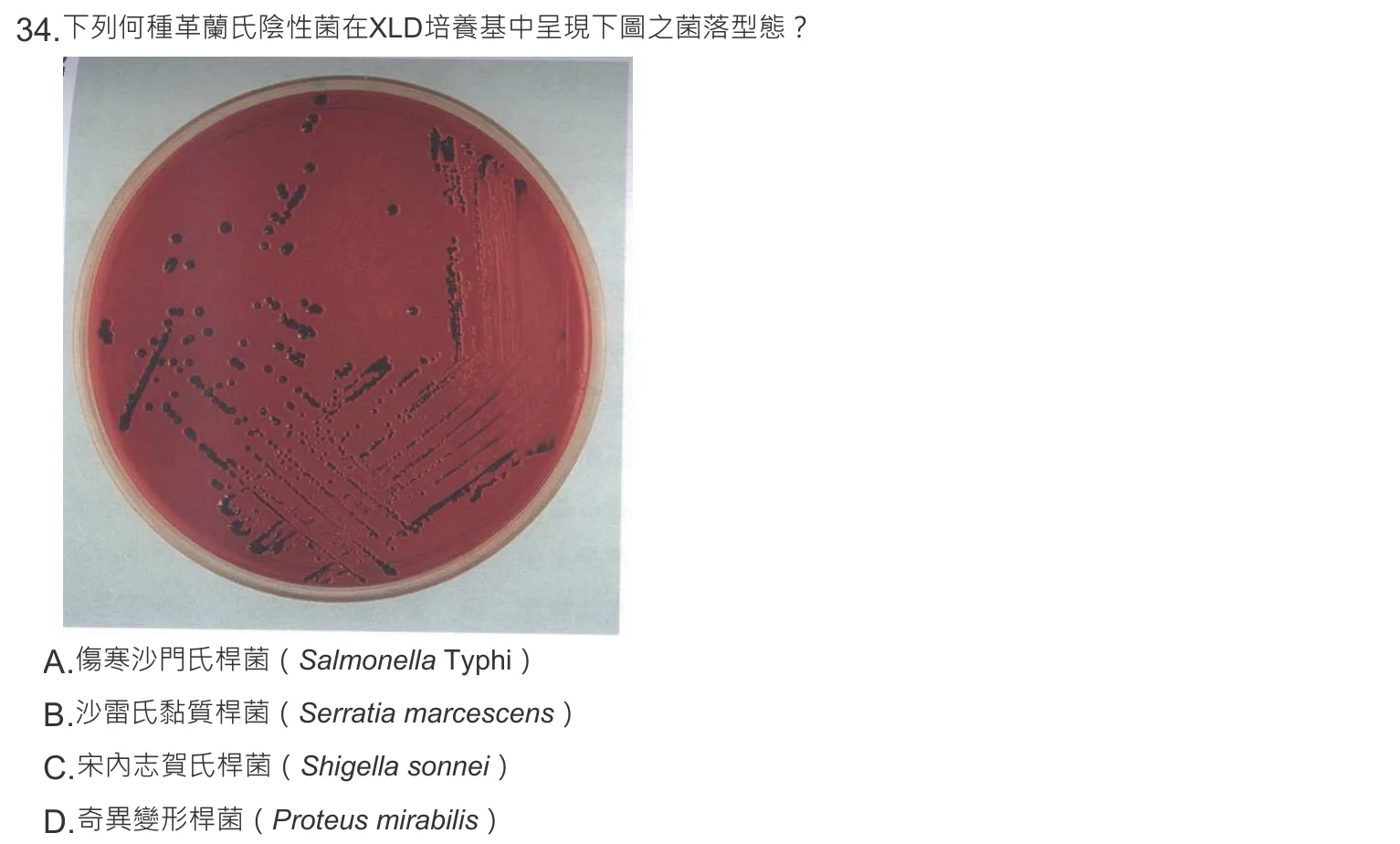 108 年第一次 微生物學與臨床微生物學 第 34 題附圖