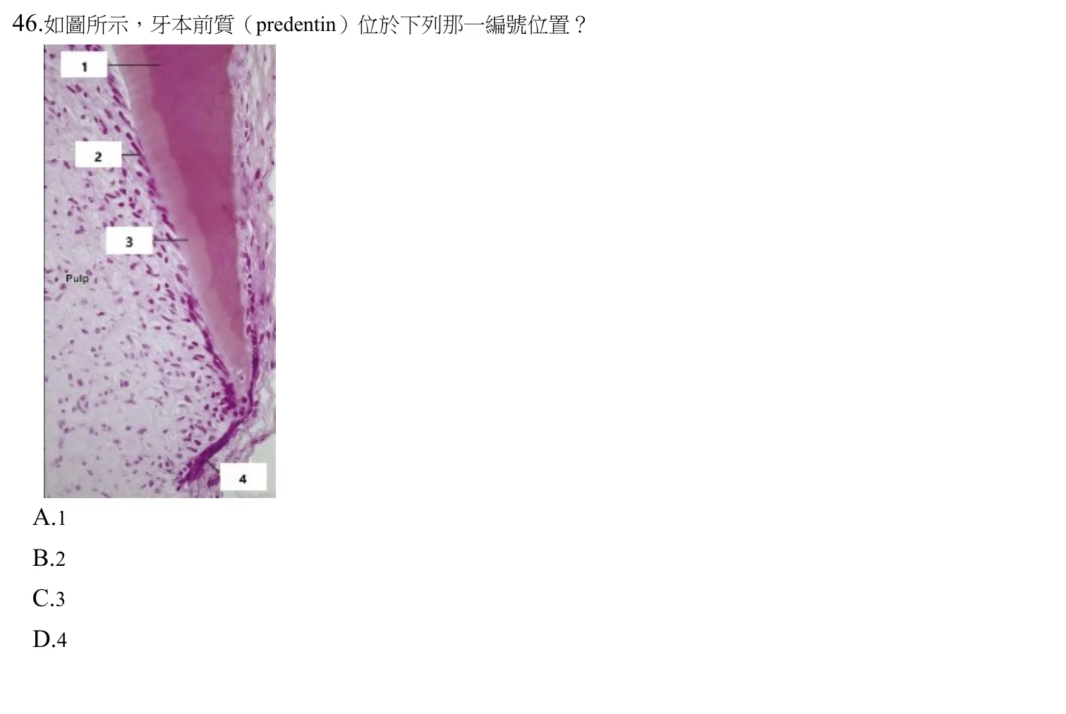 109 年第二次 牙醫學(一) 第 46 題附圖