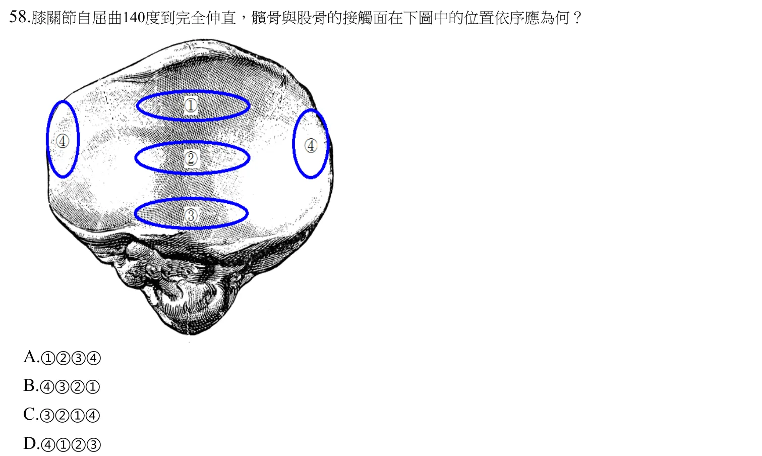 109 年第二次 物理治療基礎學 第 58 題附圖