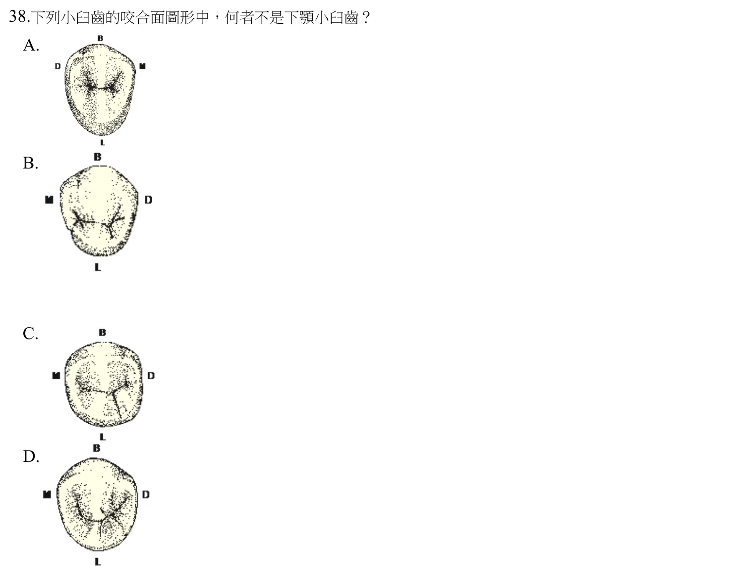 111 年第一次 牙醫學（一） 第 38 題附圖