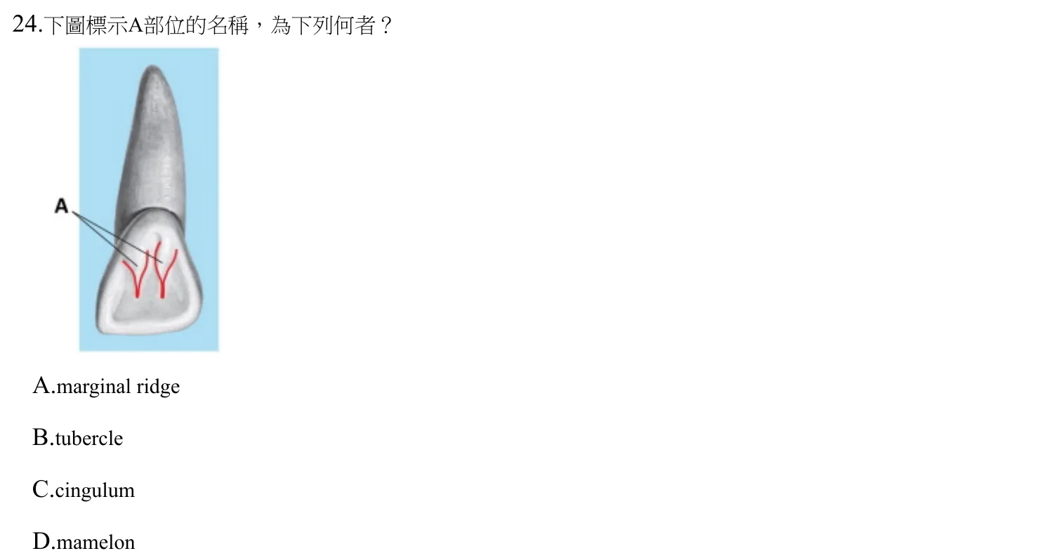 112 年第一次 牙醫學(一) 第 24 題附圖