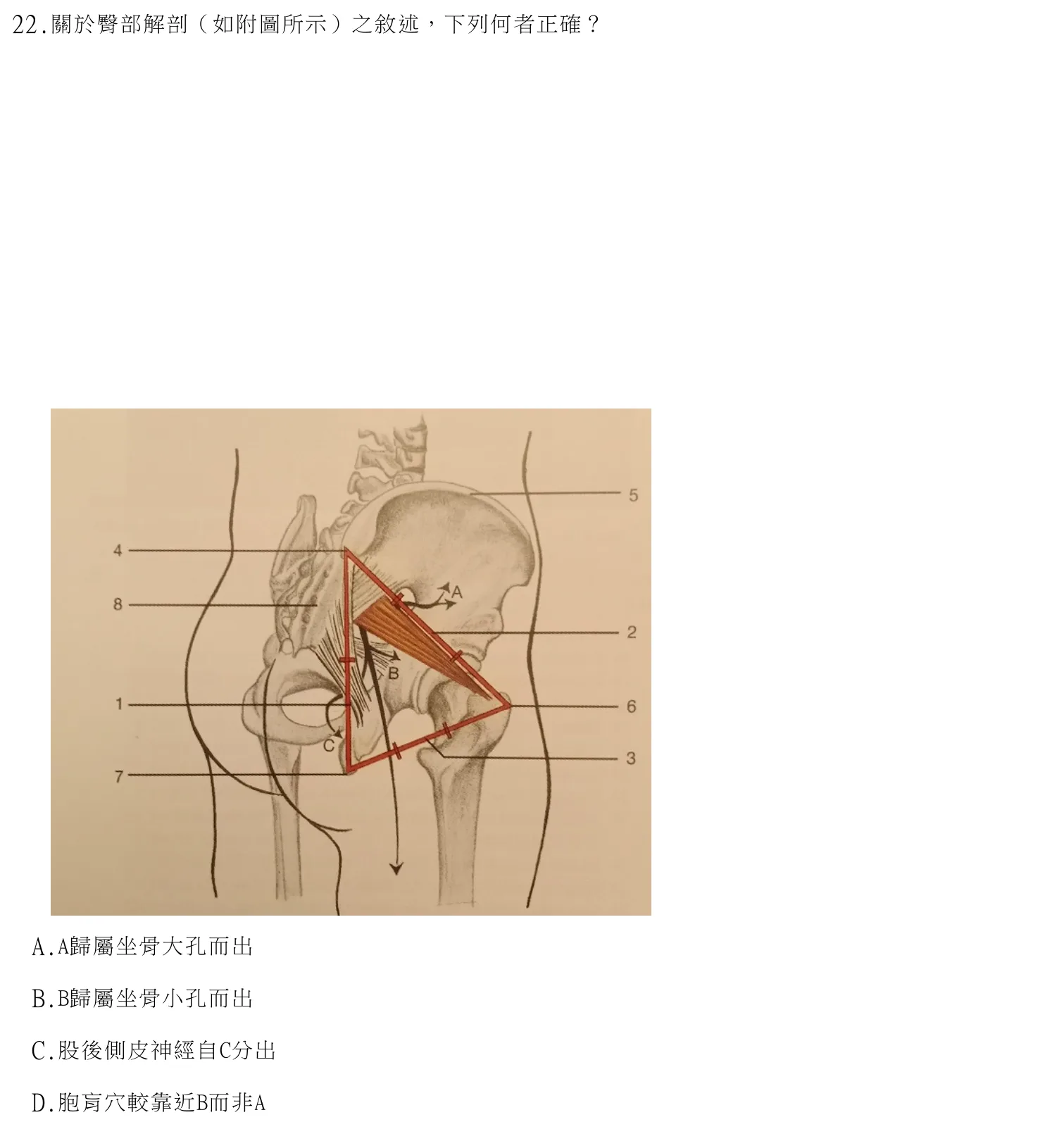 114 年第一次 中醫臨床醫學(三) 第 22 題附圖
