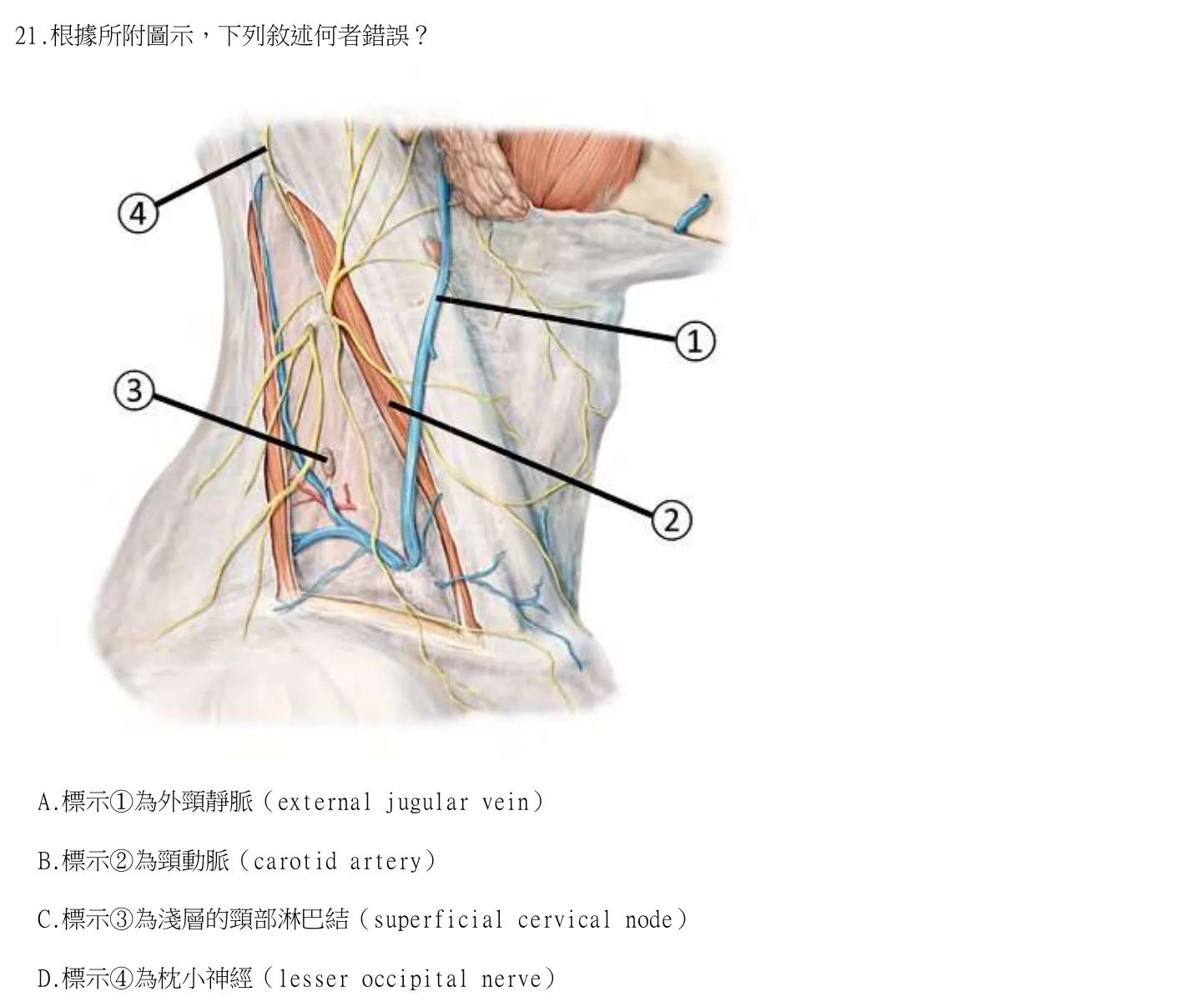 115 年第一次 牙醫學（一） 第 21 題附圖
