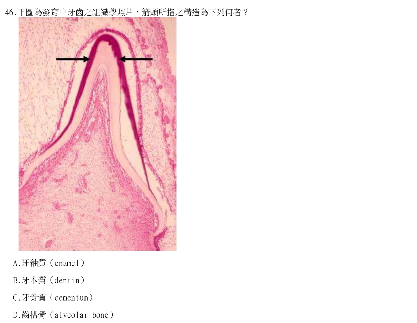 115 年第一次 牙醫學（一） 第 46 題附圖