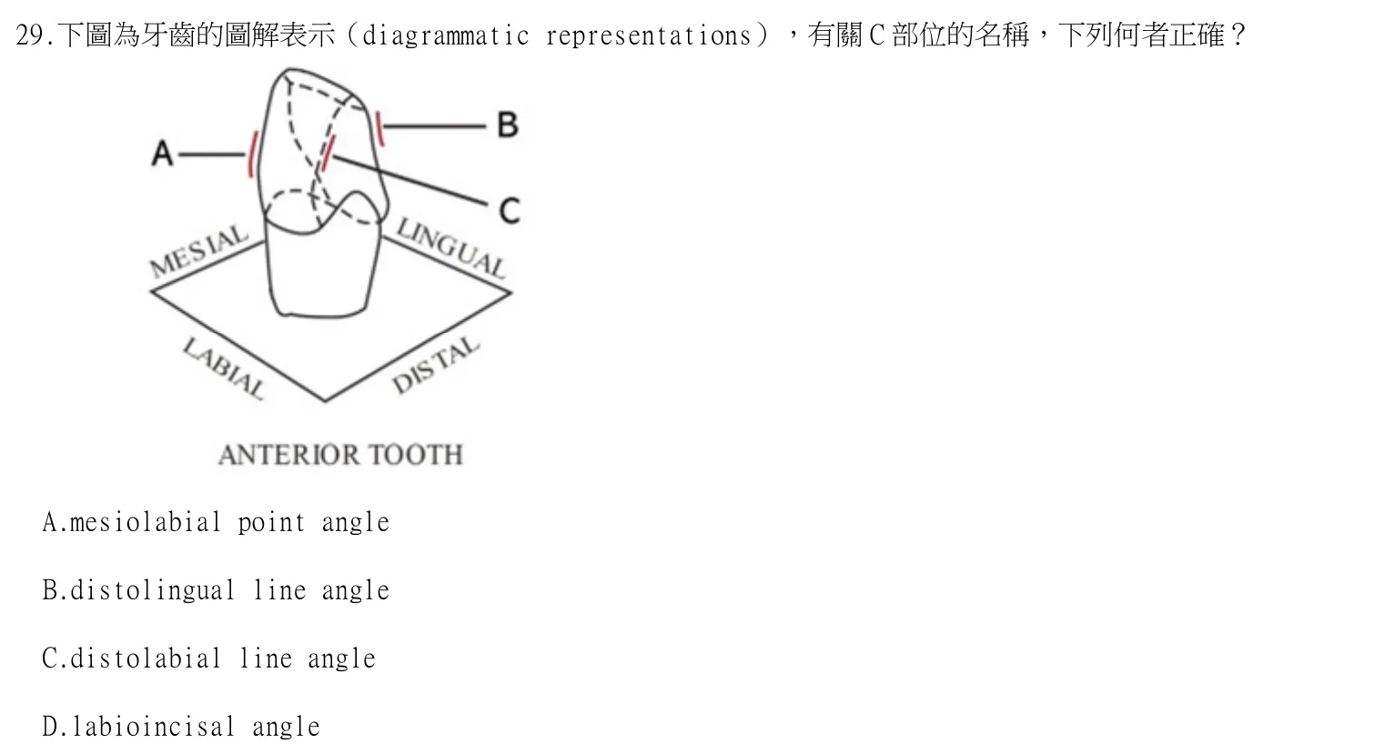 115 年第二次 牙醫學(一) 第 29 題附圖