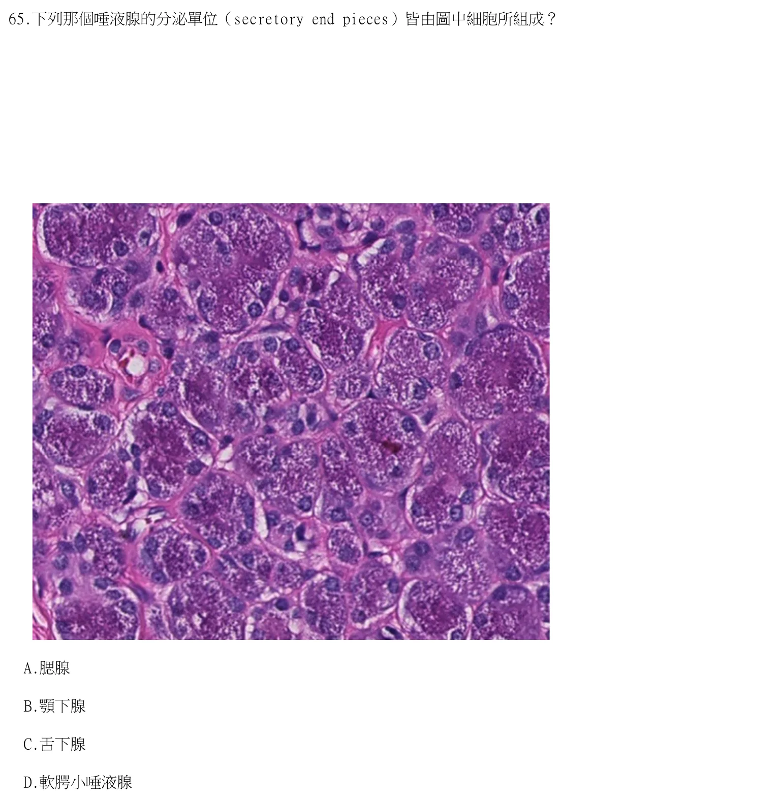 115 年第二次 牙醫學(一) 第 65 題附圖