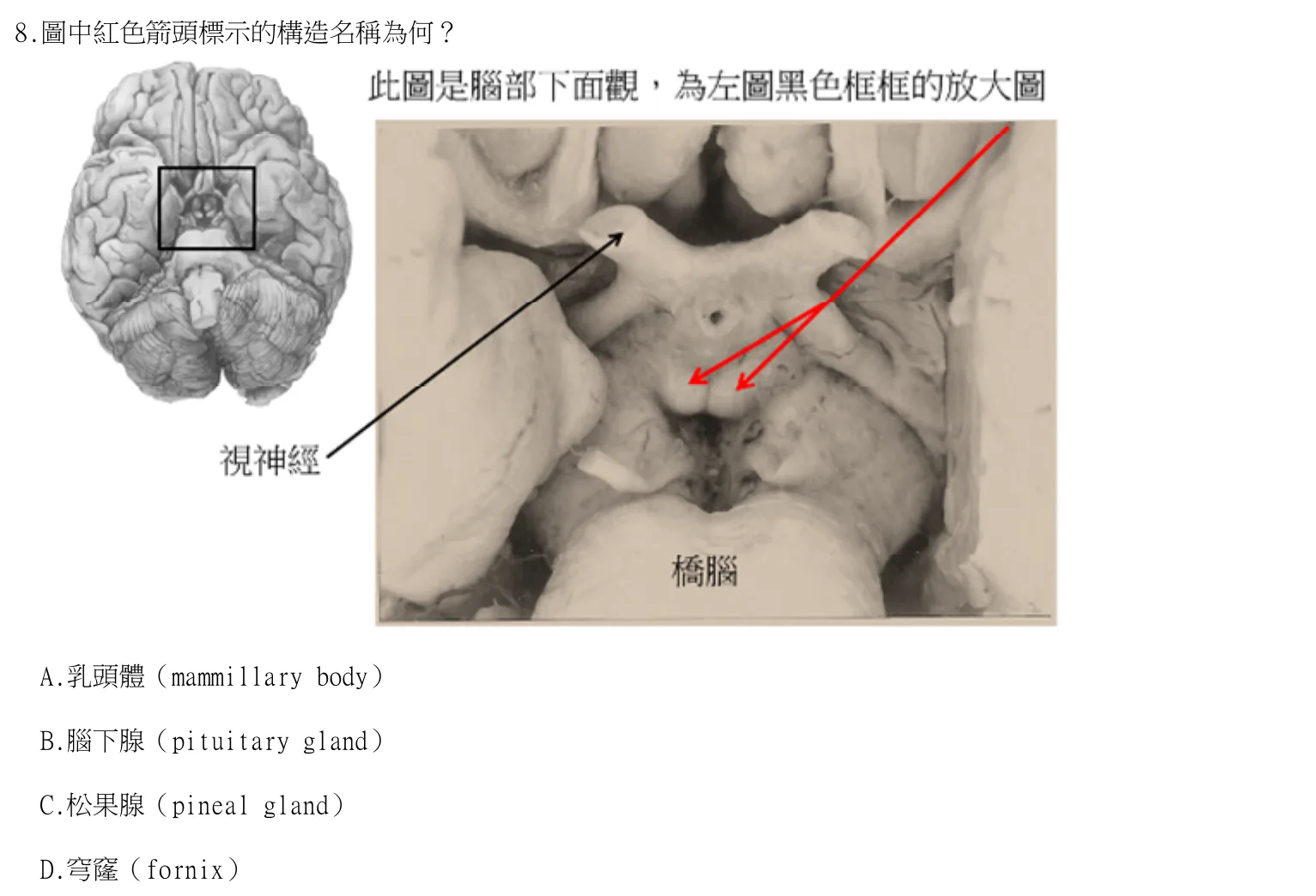 115 年第二次 解剖學與生理學 第 8 題附圖